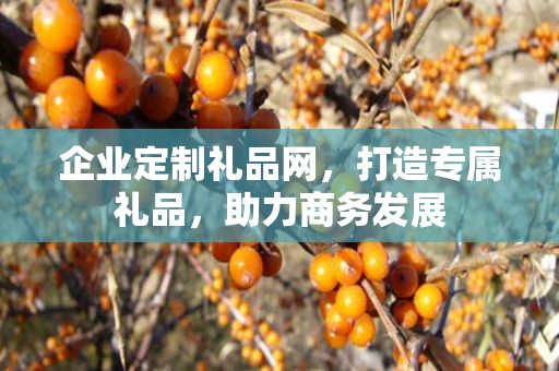 企业定制礼品网，打造专属礼品，助力商务发展
