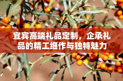 宜宾高端礼品定制，企承礼品的精工细作与独特魅力