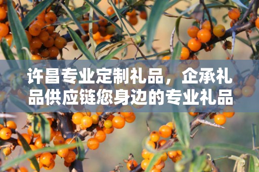 许昌专业定制礼品，企承礼品供应链您身边的专业礼品定制公司