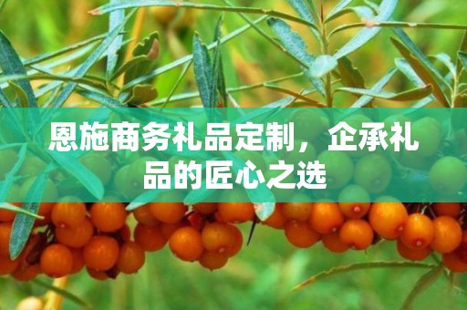 恩施商务礼品定制，企承礼品的匠心之选